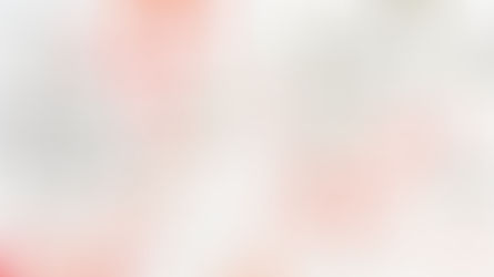 Learn to Play: Bullshit/Bluff | 420