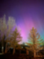 IMG_1378.jpeg