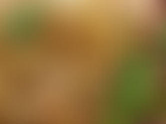 Resolutions for 2022