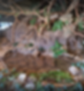 Screenshot 2023-04-20 142020.png