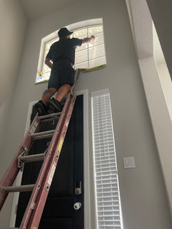 House Tint