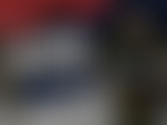 Company Executive Officer Interview