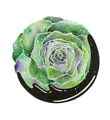 Thumbnail: Galaxy Rose Series