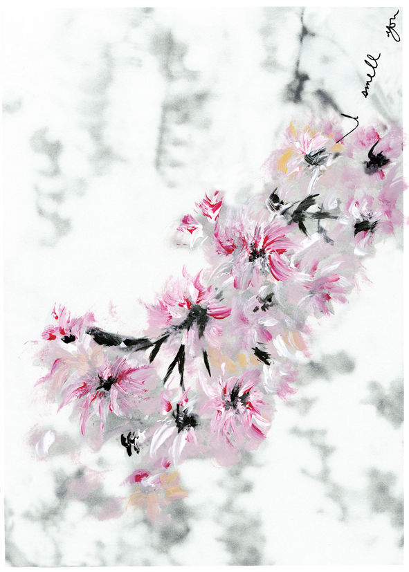 Sakura VI