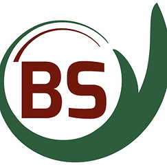 11.png