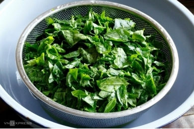 tối ưu hơn nhưng dễ bị dập nát