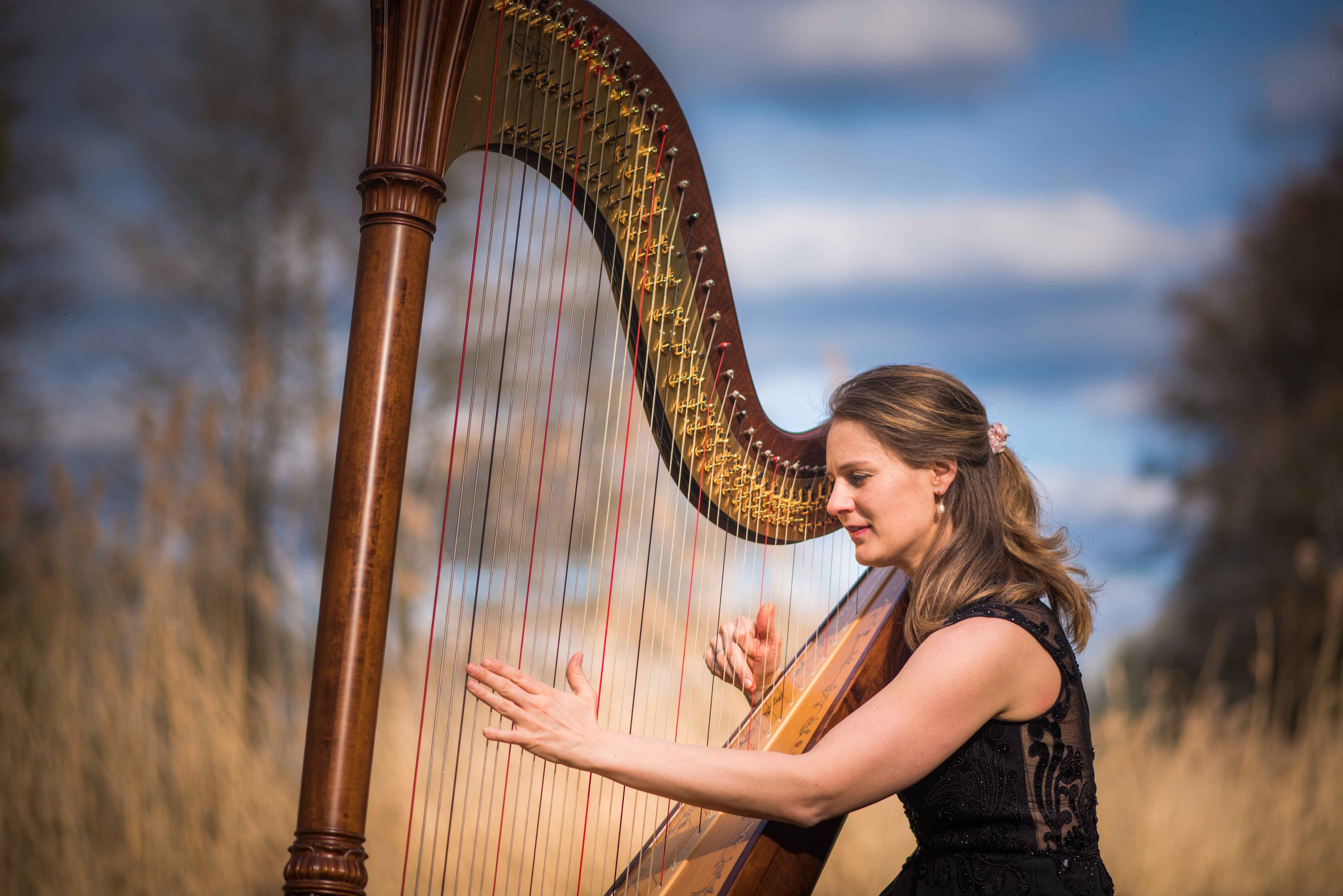 Sonja Fiedler Soloharfe