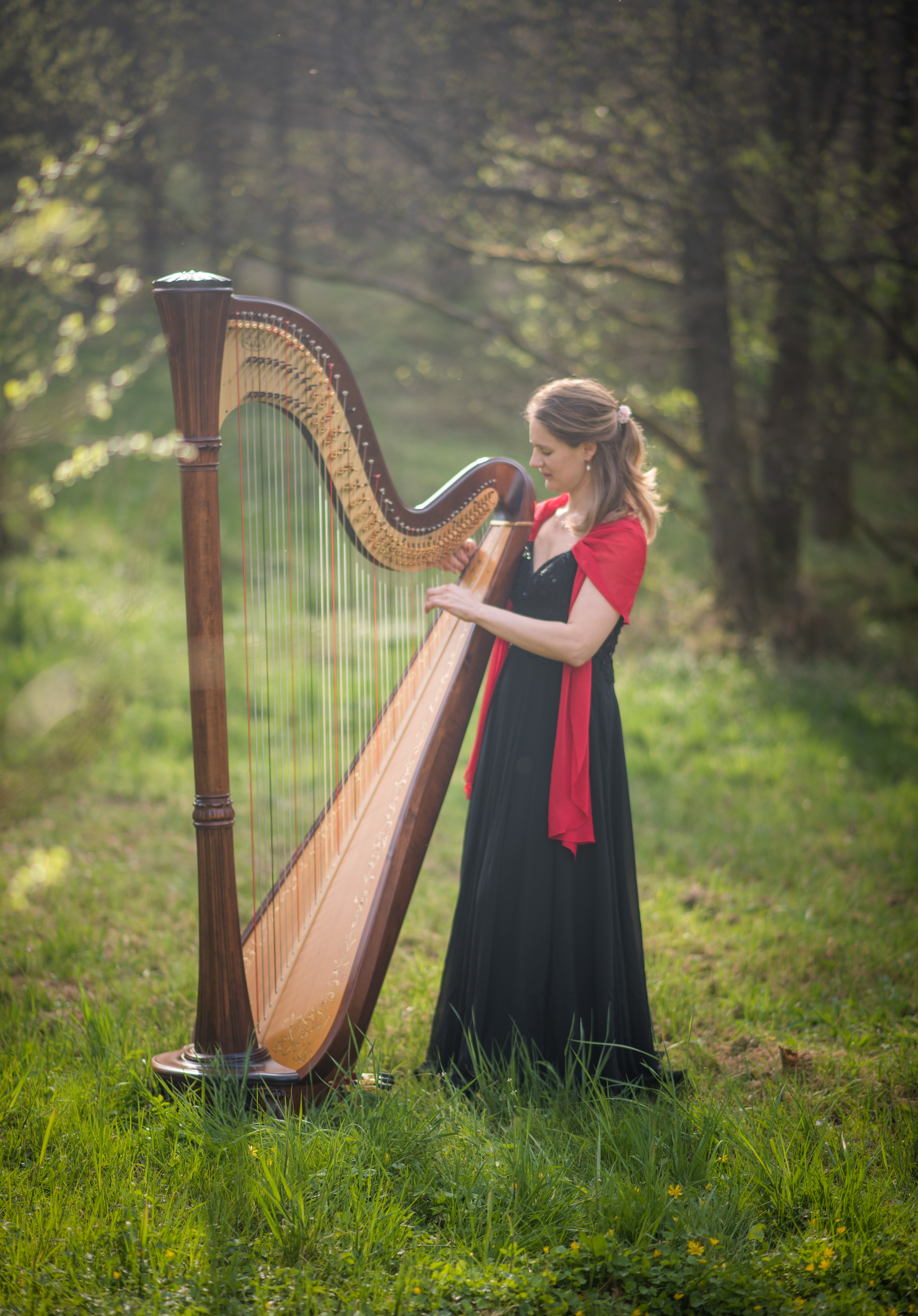 Sonja Fiedler Harfe