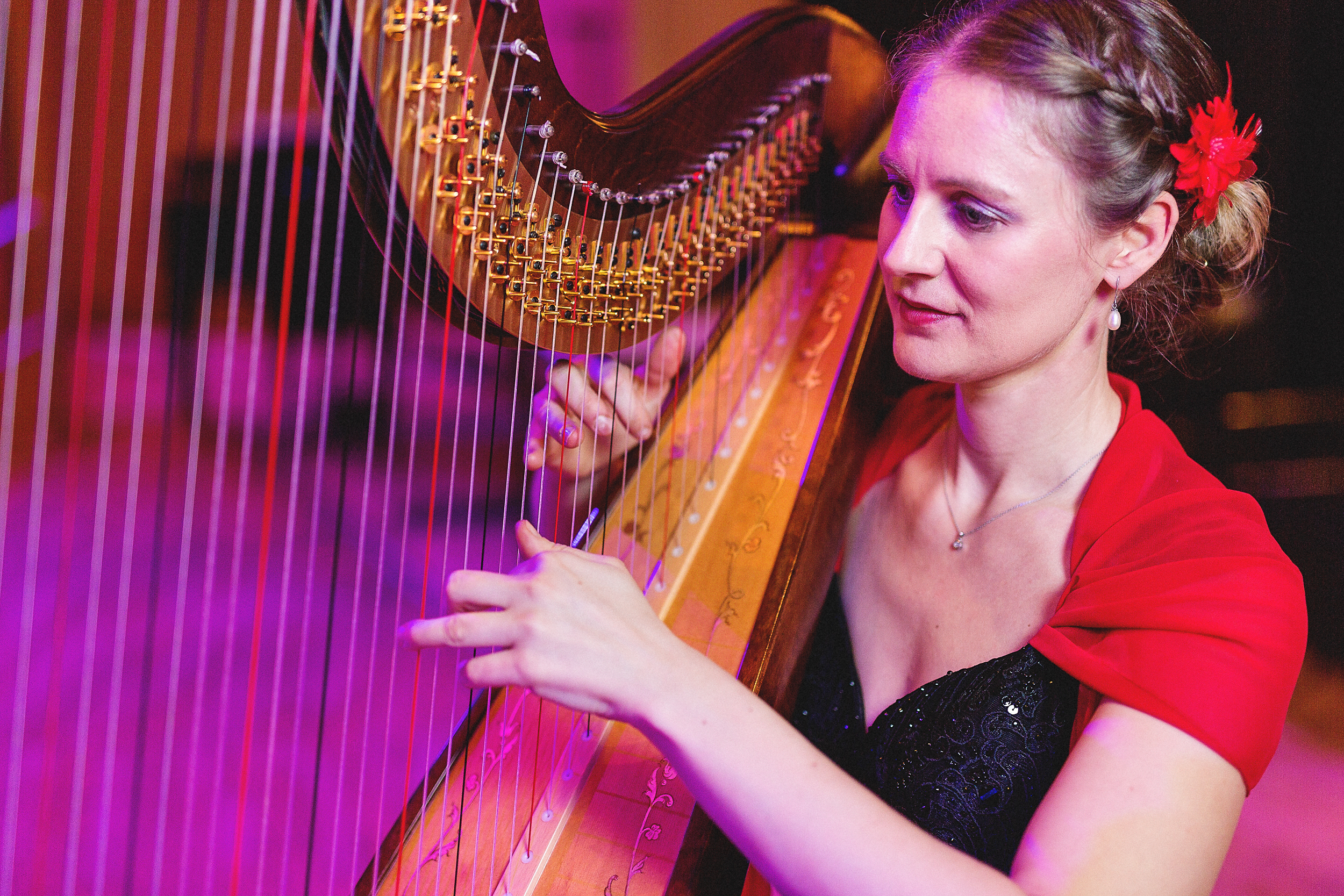 Solokonzert: Baroque flamenco