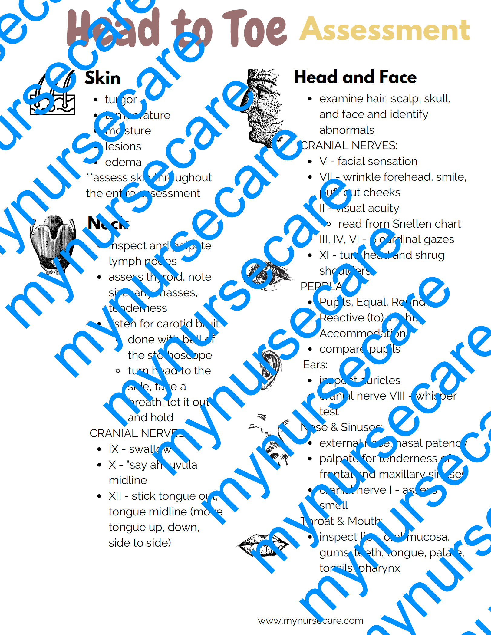 Head to Toe Assessment