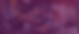 Banner Site (1).png