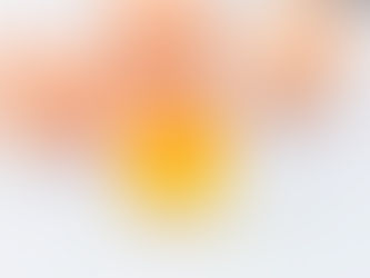 mitos e verdades sobre o ovo