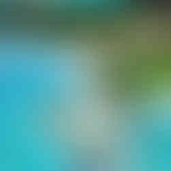 海辺のリゾート地