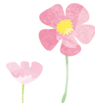 ピンクの二輪のお花のイラスト