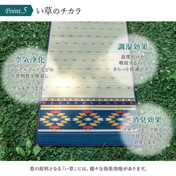 サムネイル： アース（ネイビー・グリーン）