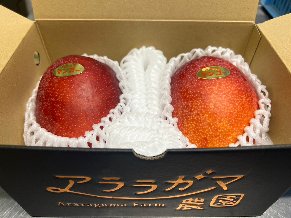 滝_ぼかし植物を削除.png
