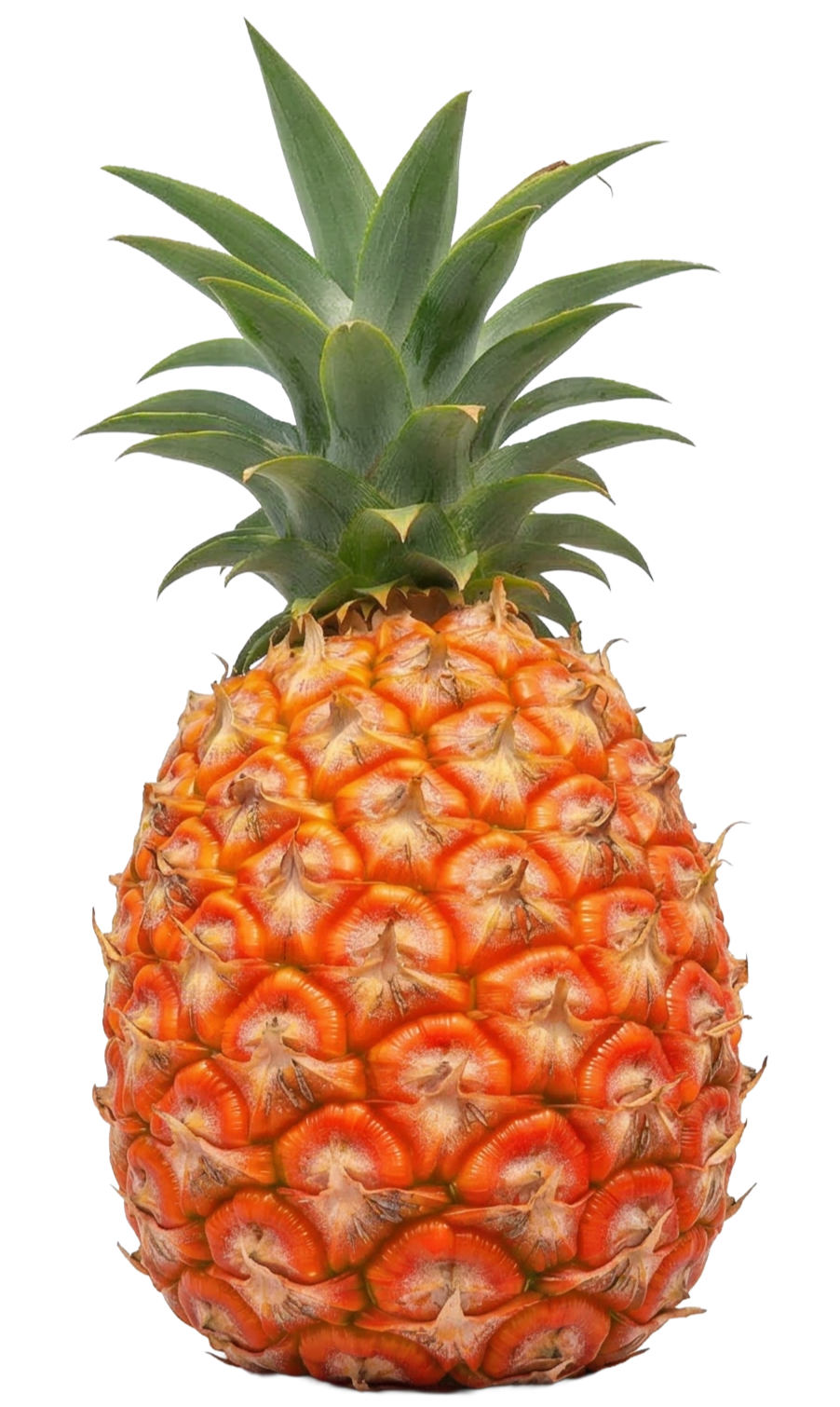 ピーチパイン_切り抜き_