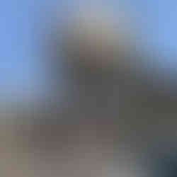 那覇中心の物件