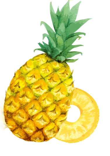 パイナップルとスライス
