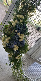 20190224_130826.jpg