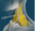 Sympatheric-never-blocks.png