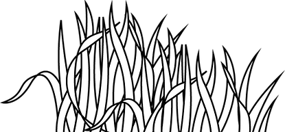 Gras2.png