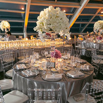 Wedding at Adler Planetarium
