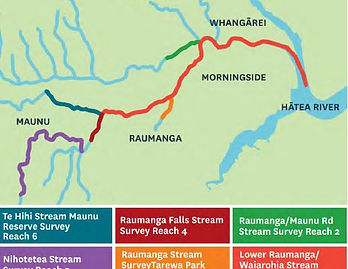 Raumanga Streamwalk