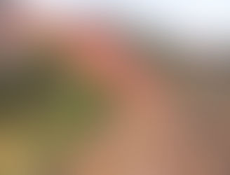 9 TANDA KAWASAN LONGSOR