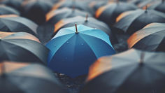 Why You Need Umbrella Insurance