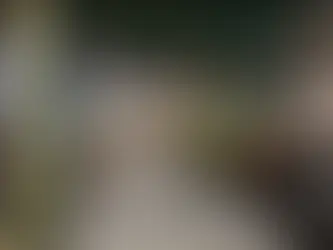 Cassette Dubai: Where Food, Art and Ease Meet