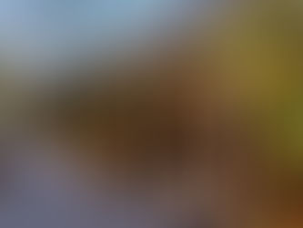 Brunch, Elevated: Inside Café Boulud’s New Friday Ritual