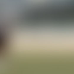 The PIF Saudi International Returns to Riyadh with a New Energy