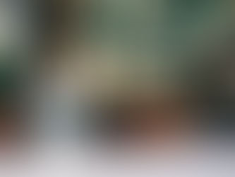 Coffee and Ralph Lauren