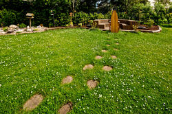 Outdoor classroom