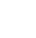 HOnig2.png