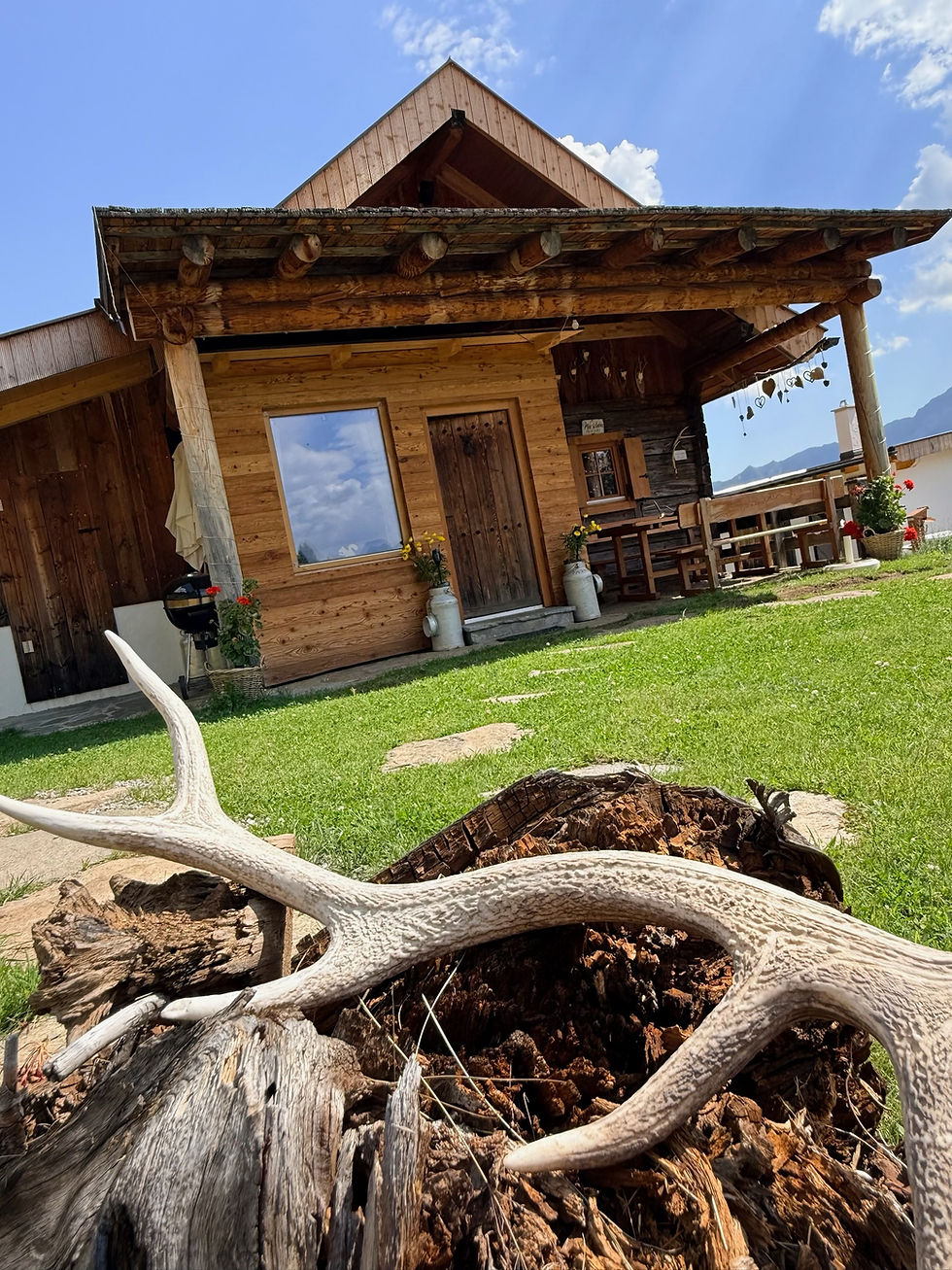Hirschgeweih auf Baumstumpf vor dem Almchalet im Mölltal