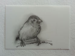 Graphite on Yupo® Translucent Paper