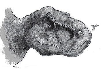 T Rex and Hummingbird