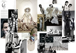 Moodboard - Trend concept
