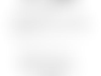 第28回極真沖縄空手道選手権大会申込書