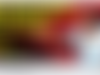 6月24日25日 全日本少年少女・ウエイト制大会 生放送 リンク です。