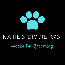 20201123_222458_0000