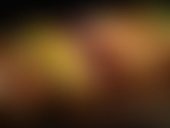 "Hot Dogs" gourmet, la reinvención de la comida rápida