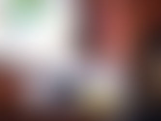 Comisión de Gobierno de la Cámara continúa el escrutinio del contrato de la Lotería Adicional