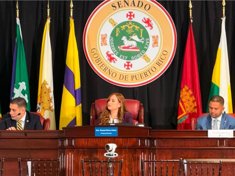 Senadora Jamie Barlucea exige acción y compromiso con el sur y la montaña