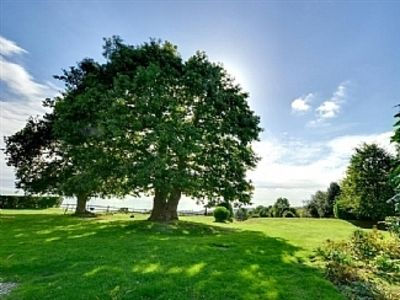 Relaxing retreat in countryside