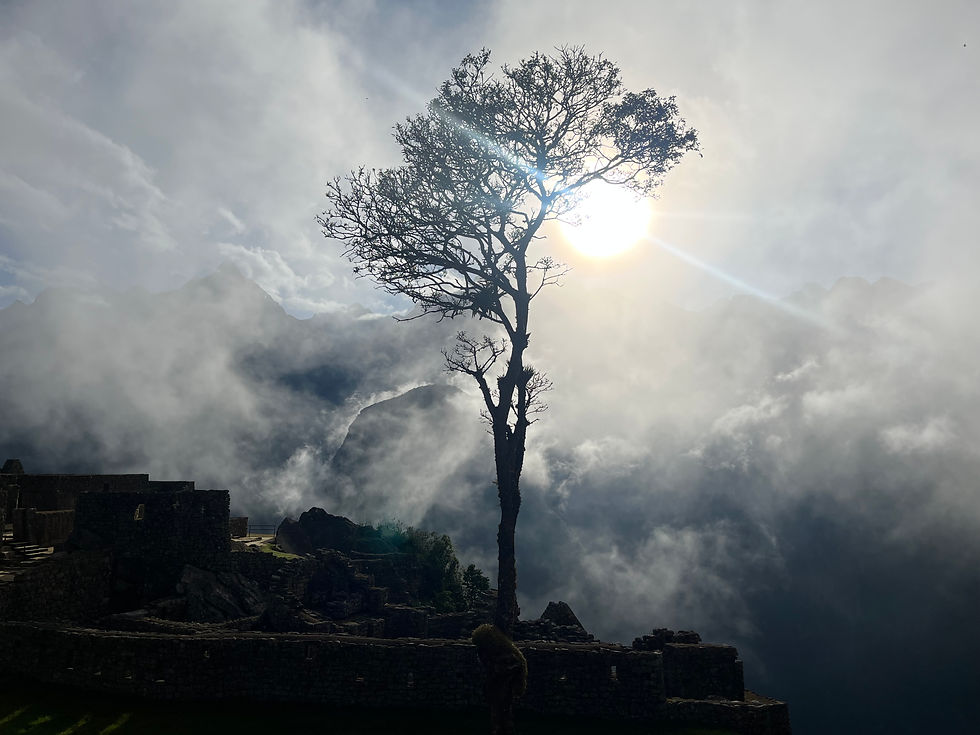 Machu Picchu trekking