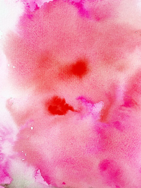 E2E28185-478F-4464-B631-ACB8419EE5B7.jpeg