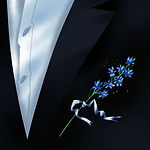 Tvorchi - Мила моя